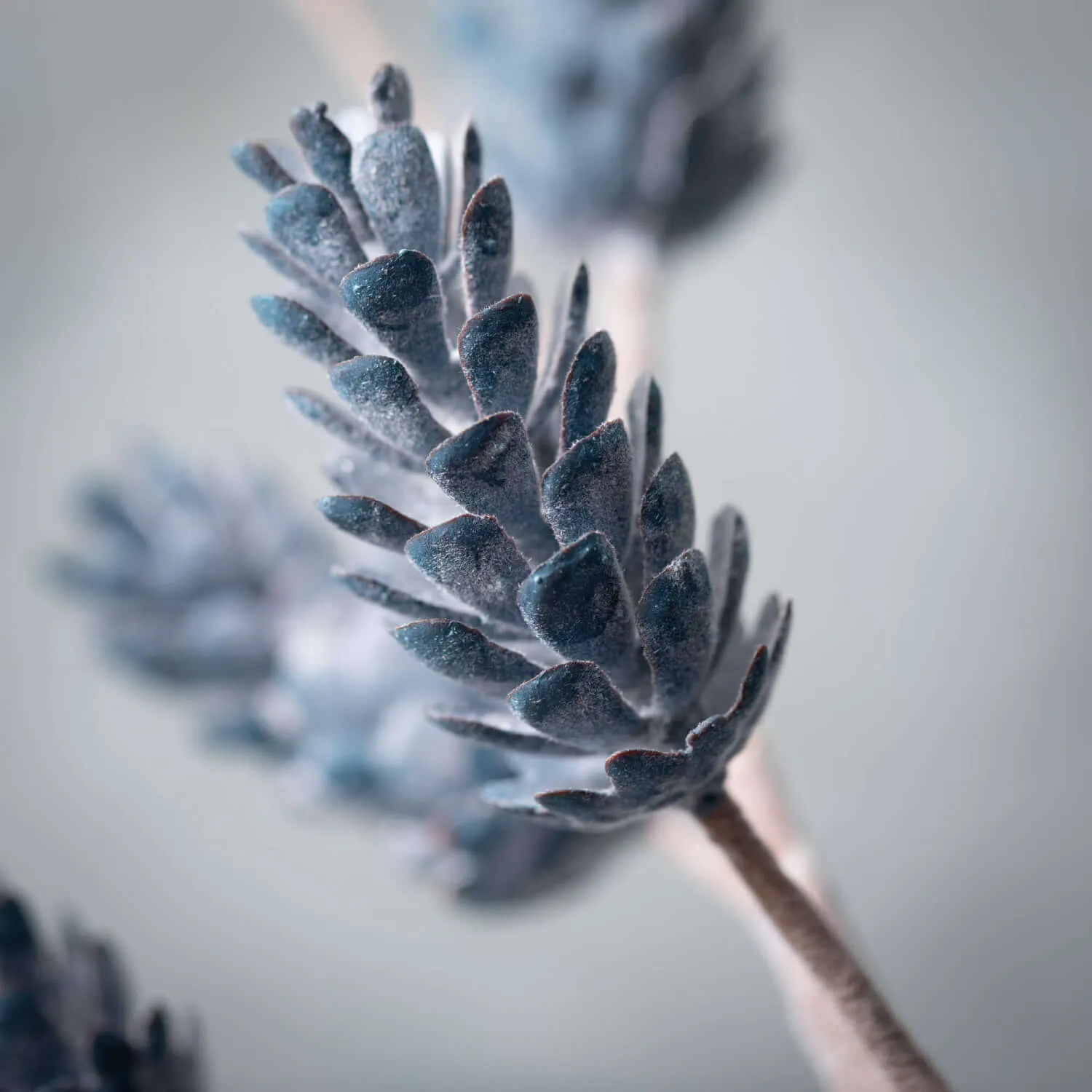 Artificial Blue Pinecone Stem Blue 26"H