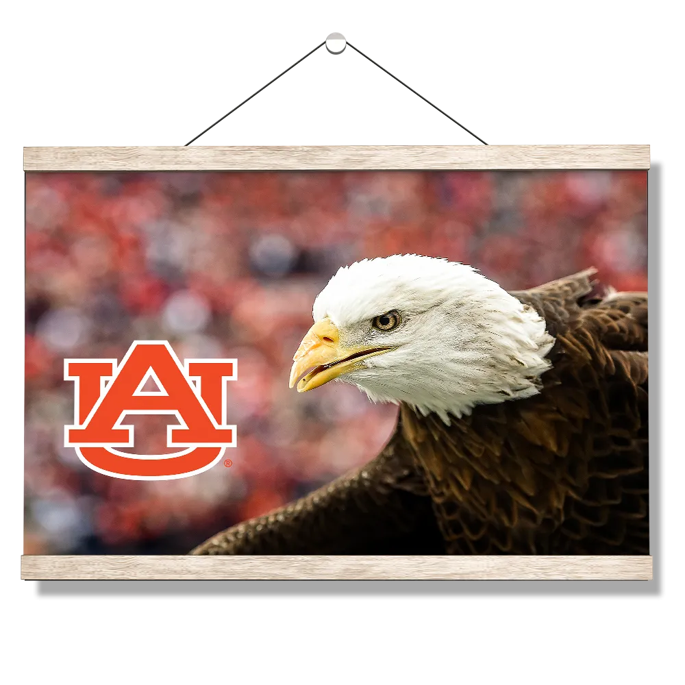 Auburn Tigers - War Eagle Up Close