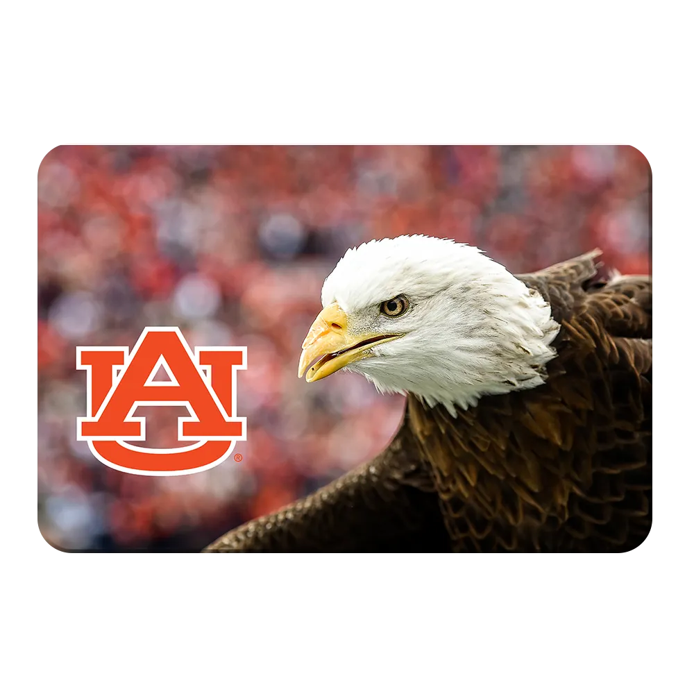 Auburn Tigers - War Eagle Up Close