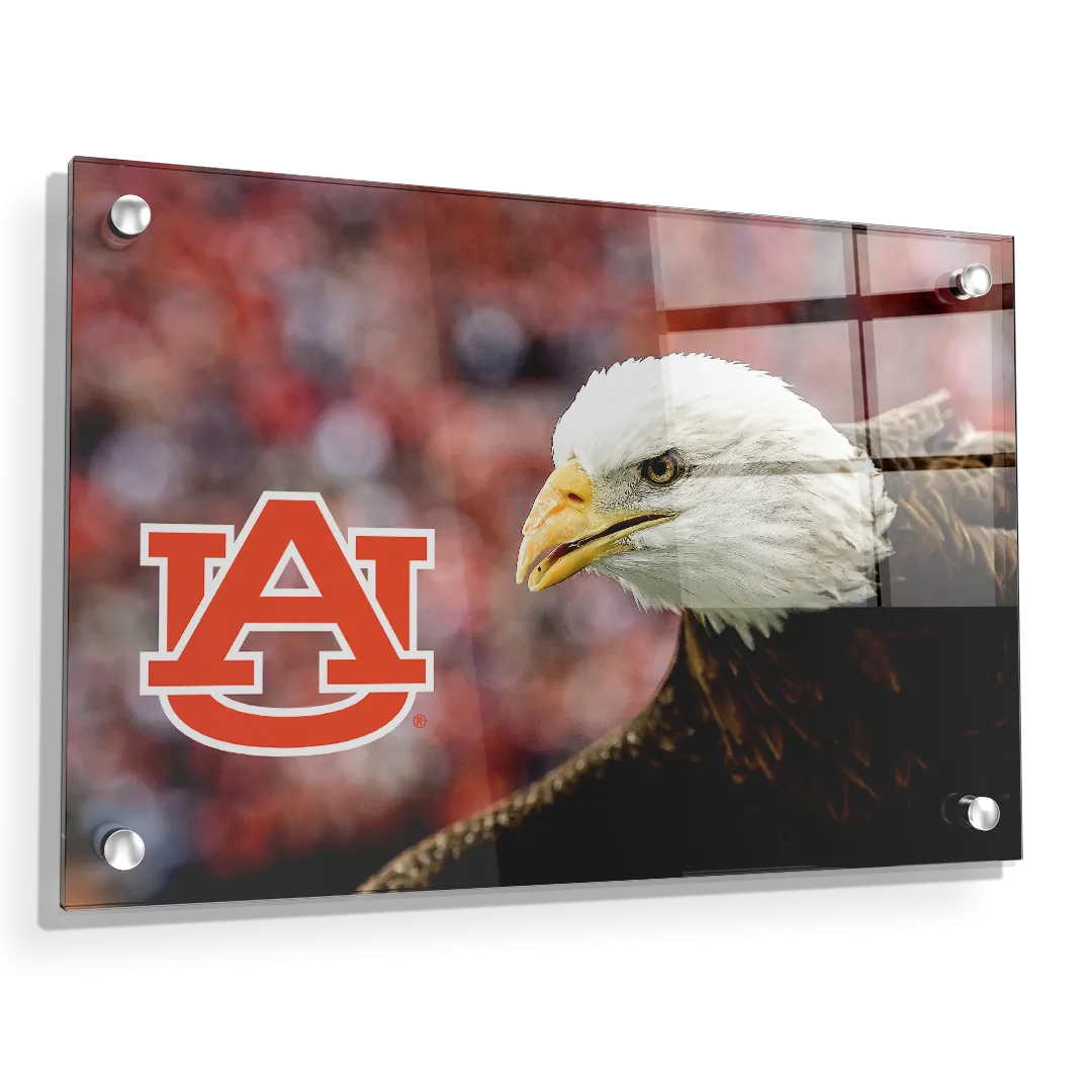 Auburn Tigers - War Eagle Up Close