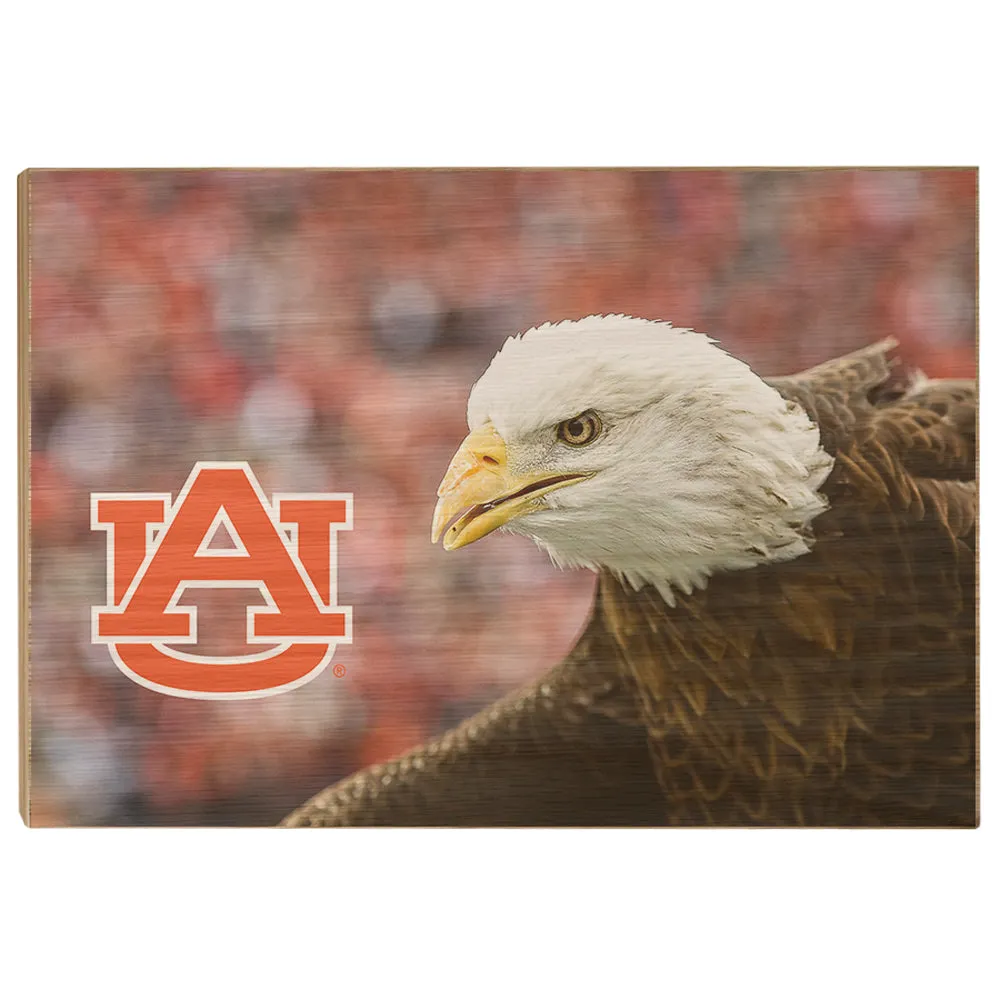 Auburn Tigers - War Eagle Up Close