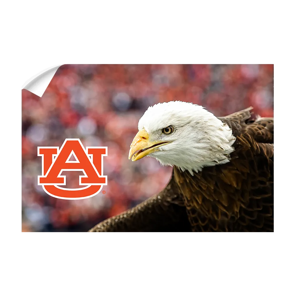 Auburn Tigers - War Eagle Up Close