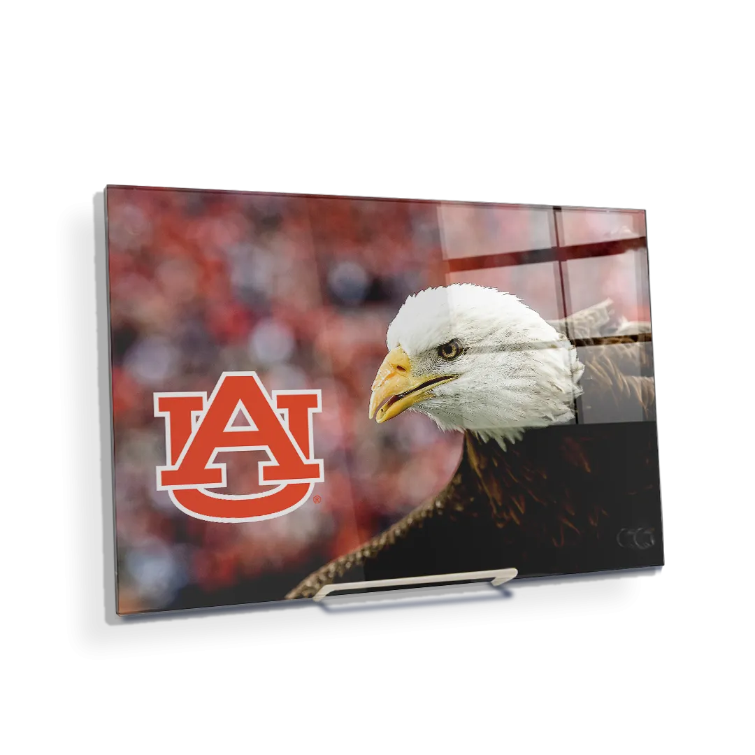 Auburn Tigers - War Eagle Up Close