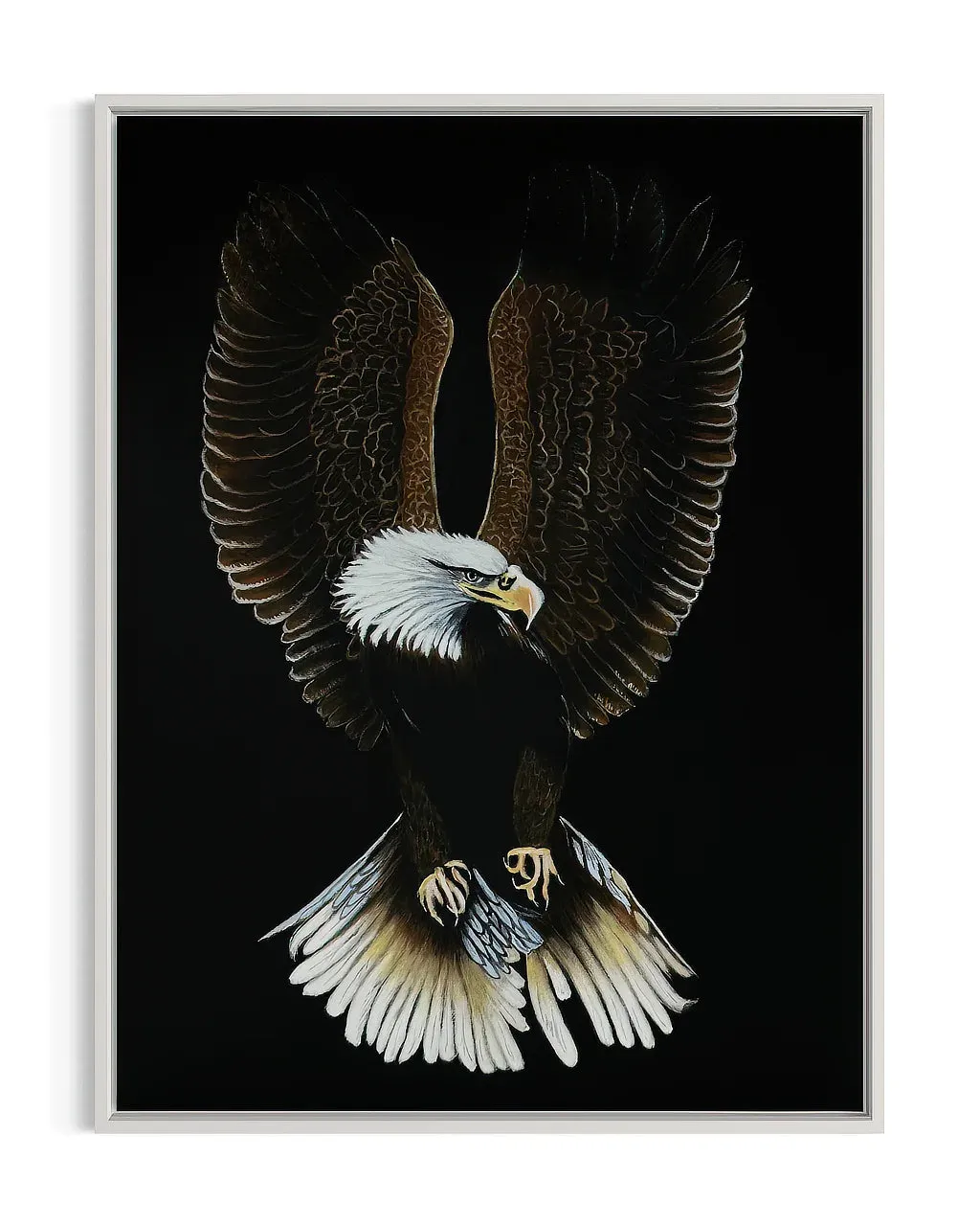 Bald Eagle-Valiant | Original