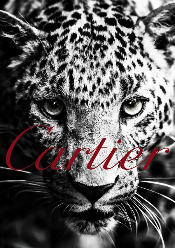 Cartier Leopard Fashion Wall Art